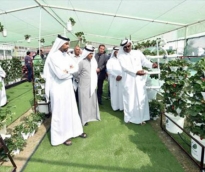 alsharq