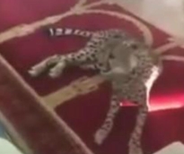 الشرق