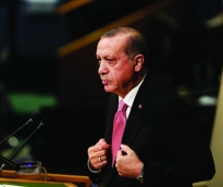                                         أردوغان                                    