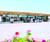alsharq
