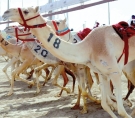 الشرق