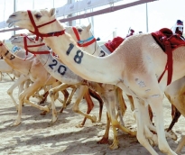 الشرق