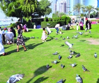 alsharq