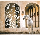 الشرق