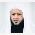د. محمود عبد العزيز أبو المعاطي