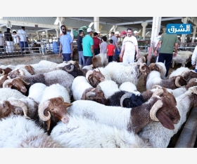 مقصب الوكرة يستقبل المواطنين والمقيمين في أول أيام عيد الأضحى المبارك