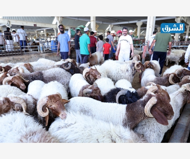 مقصب الوكرة يستقبل المواطنين والمقيمين في أول أيام عيد الأضحى المبارك