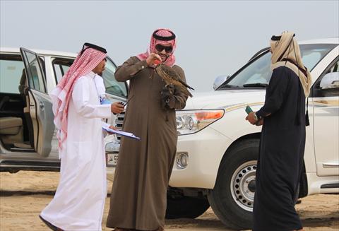 الشرق
