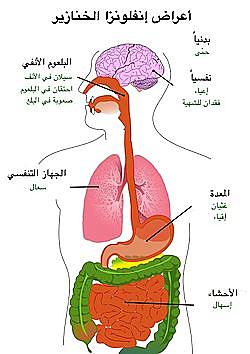 الشرق