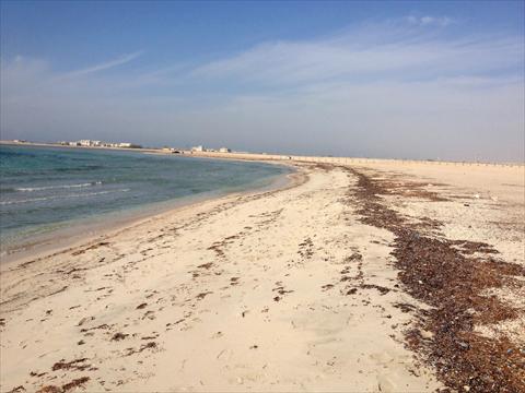 alsharq