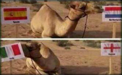 الشرق