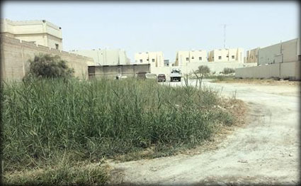 alsharq