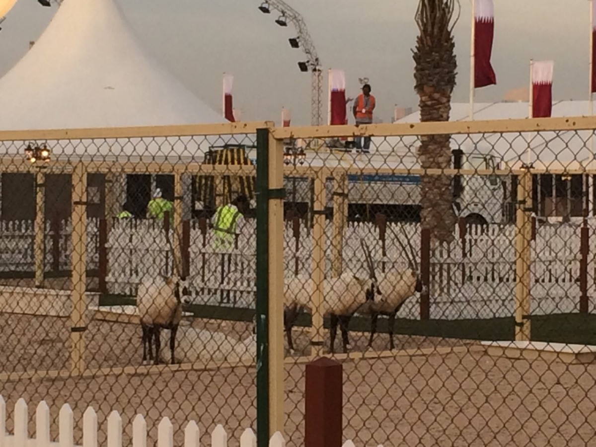 Alsharq