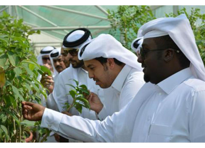 الشرق
