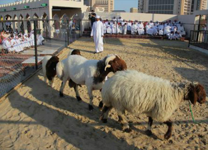 alsharq
