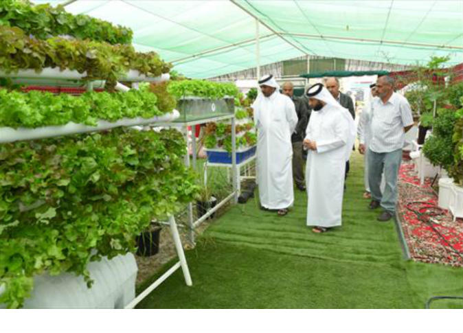 alsharq
