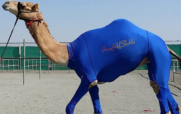 الشرق