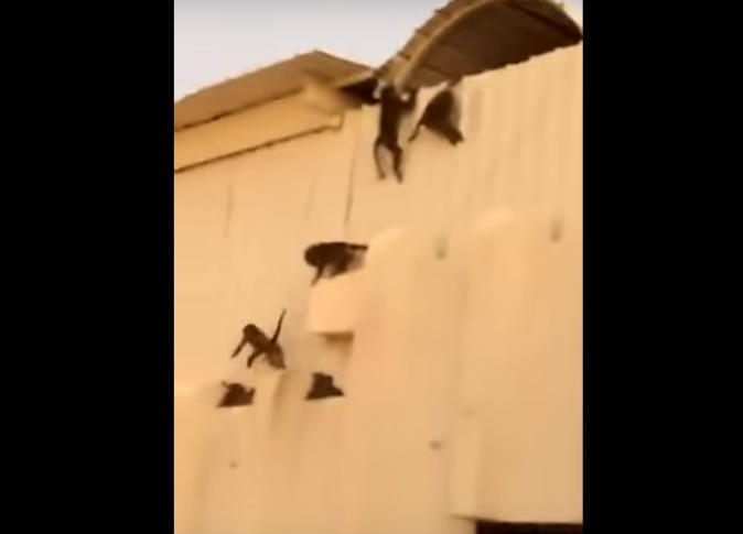 الشرق
