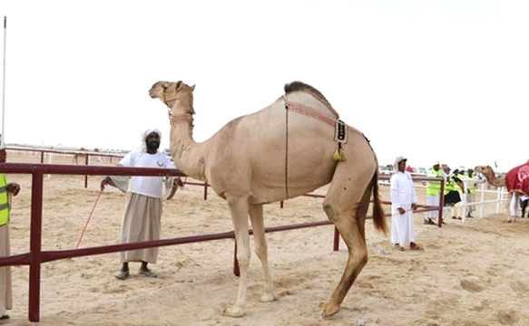 الشرق
