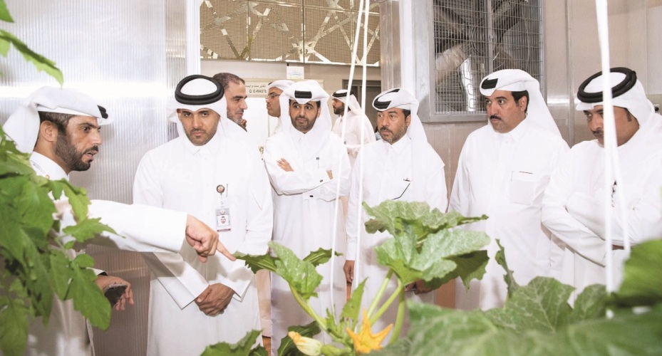                                         قطر للتنمية يقدم التمويلات للبيوت الزراعية المحمية                                    