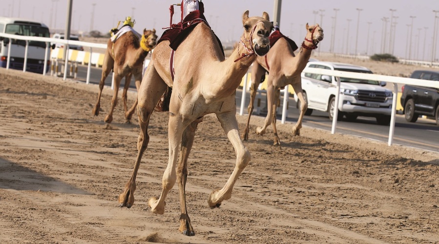 الشرق