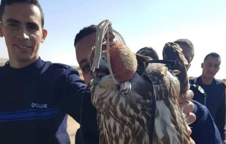 صورة من تقرير عربي 21