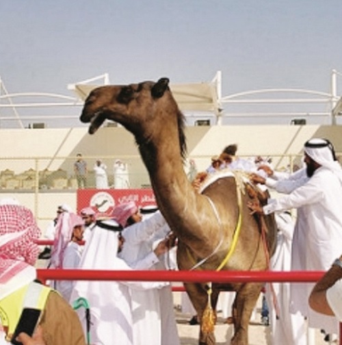 alsharq