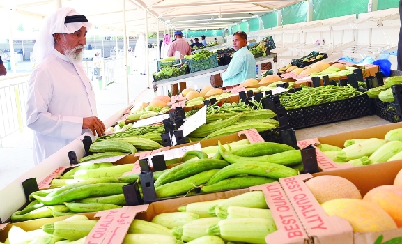 نمو الانتاج المحلي من المحاصيل 