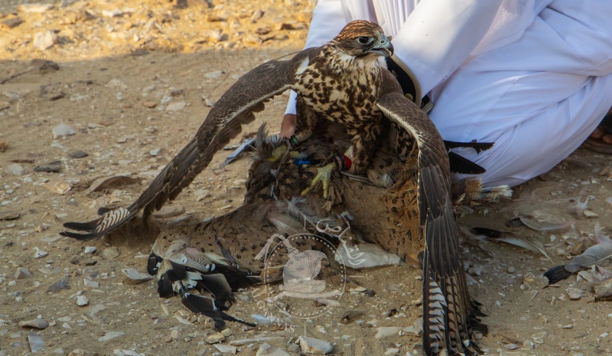الشرق