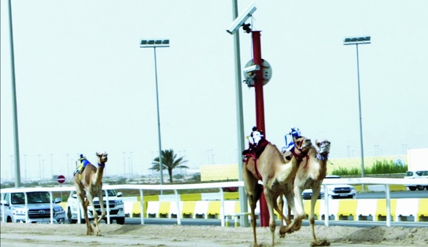 alsharq