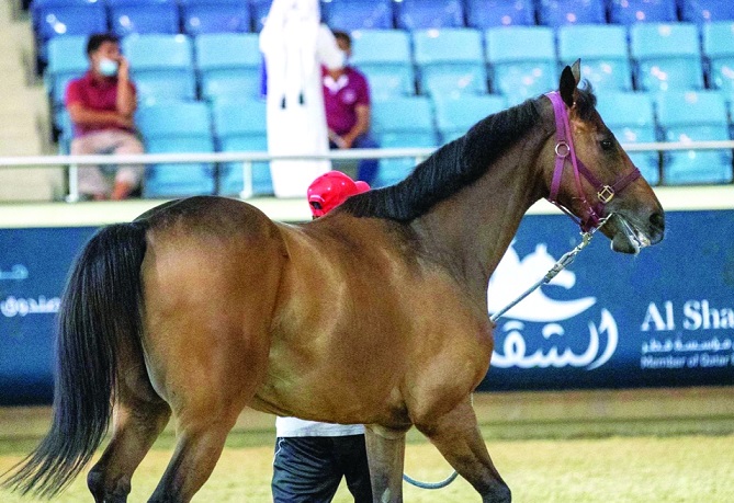 alsharq