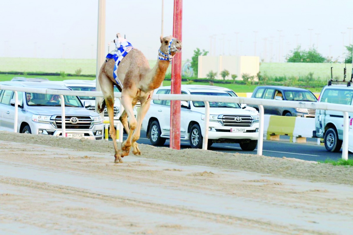 alsharq