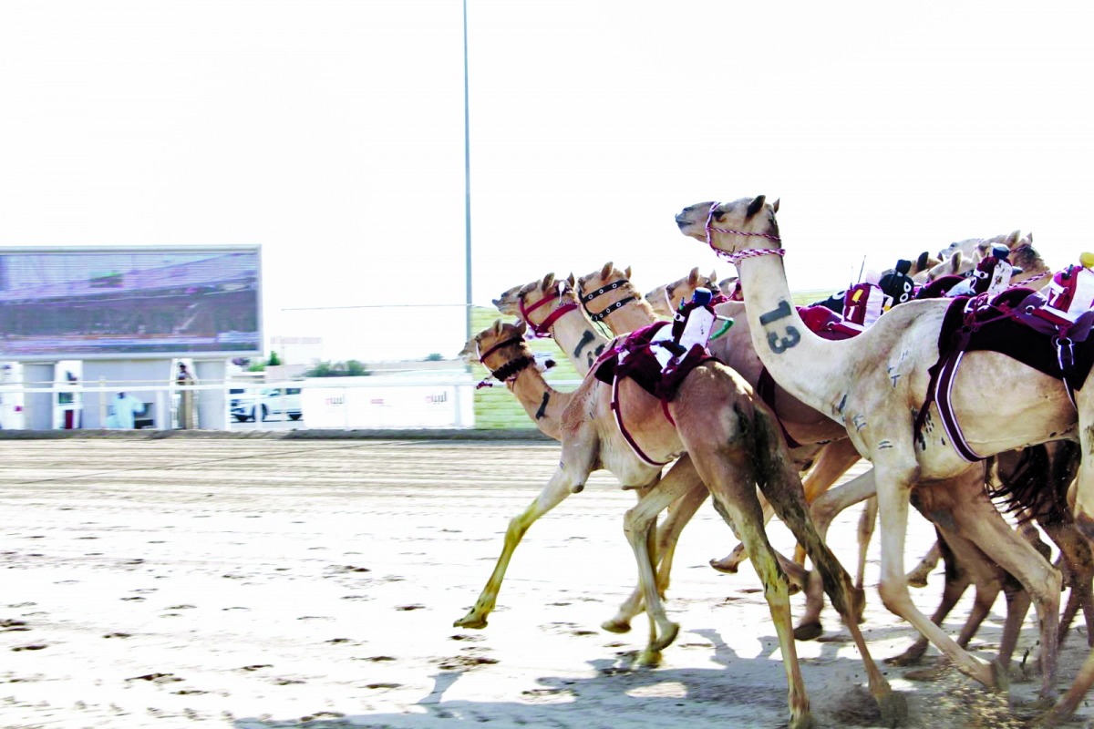alsharq