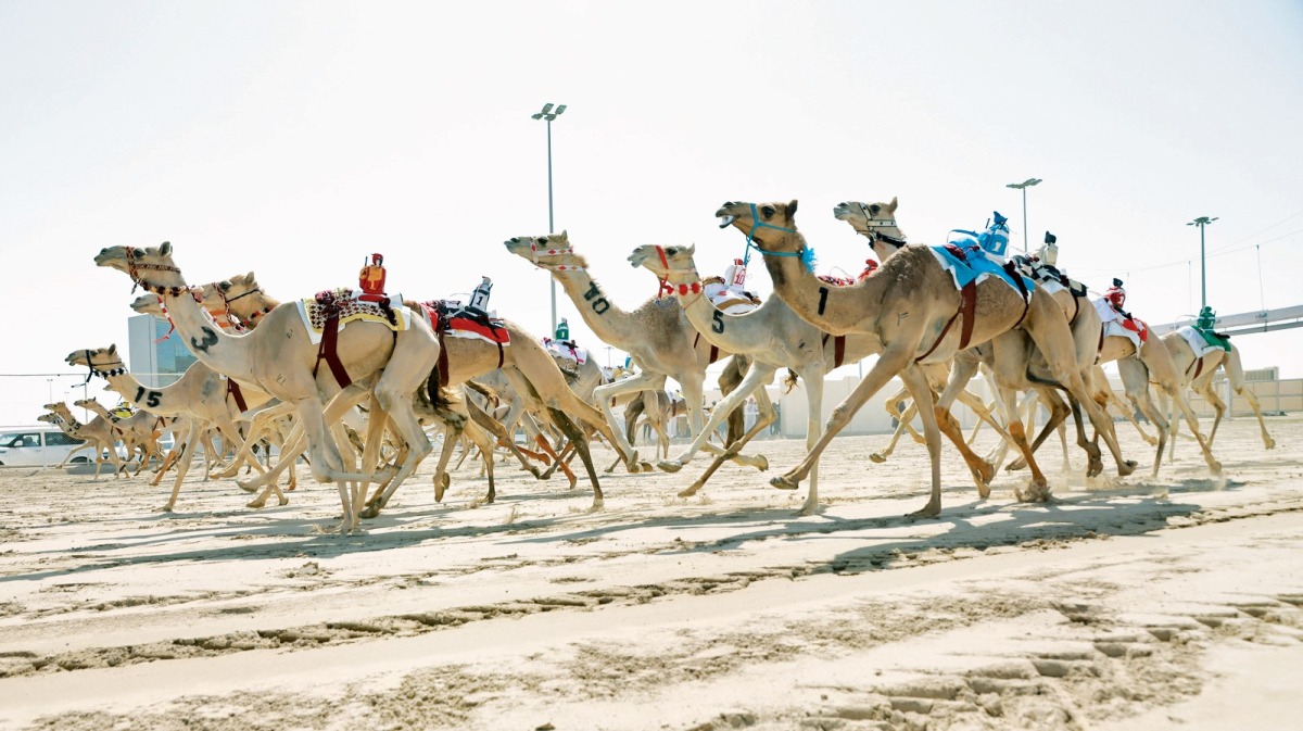 alsharq