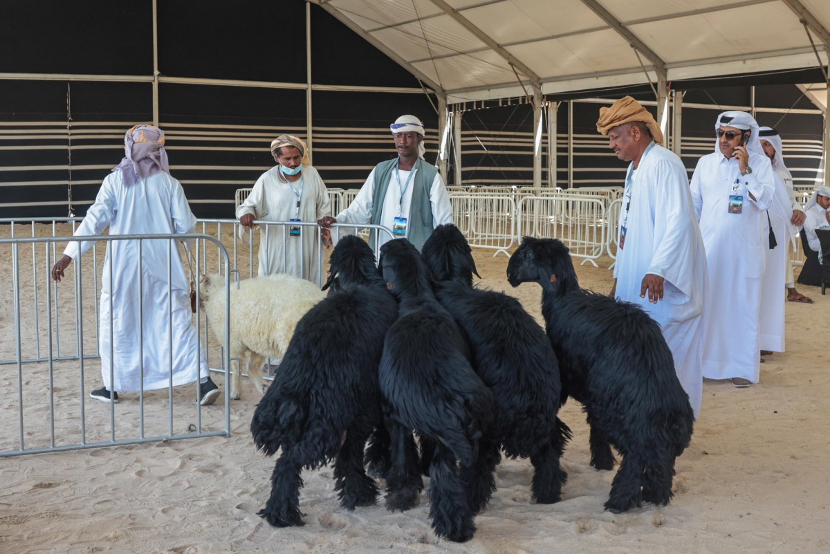 alsharq