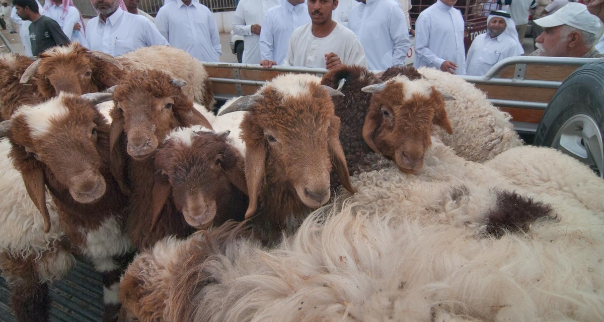 alsharq