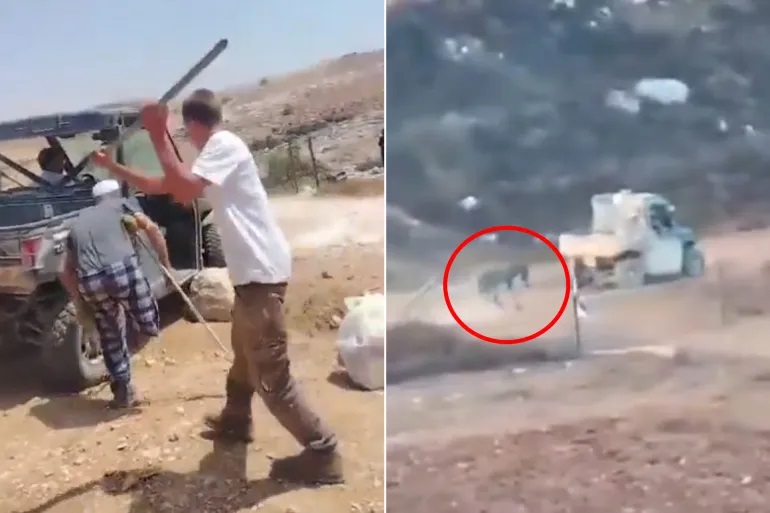 بالفيديو| اعتداء وحشي من مستوطن على مسن فلسطيني مبتور الساق