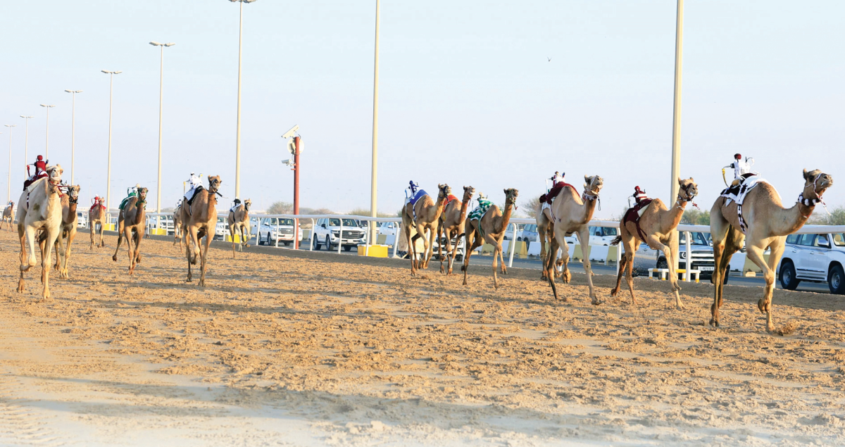 alsharq