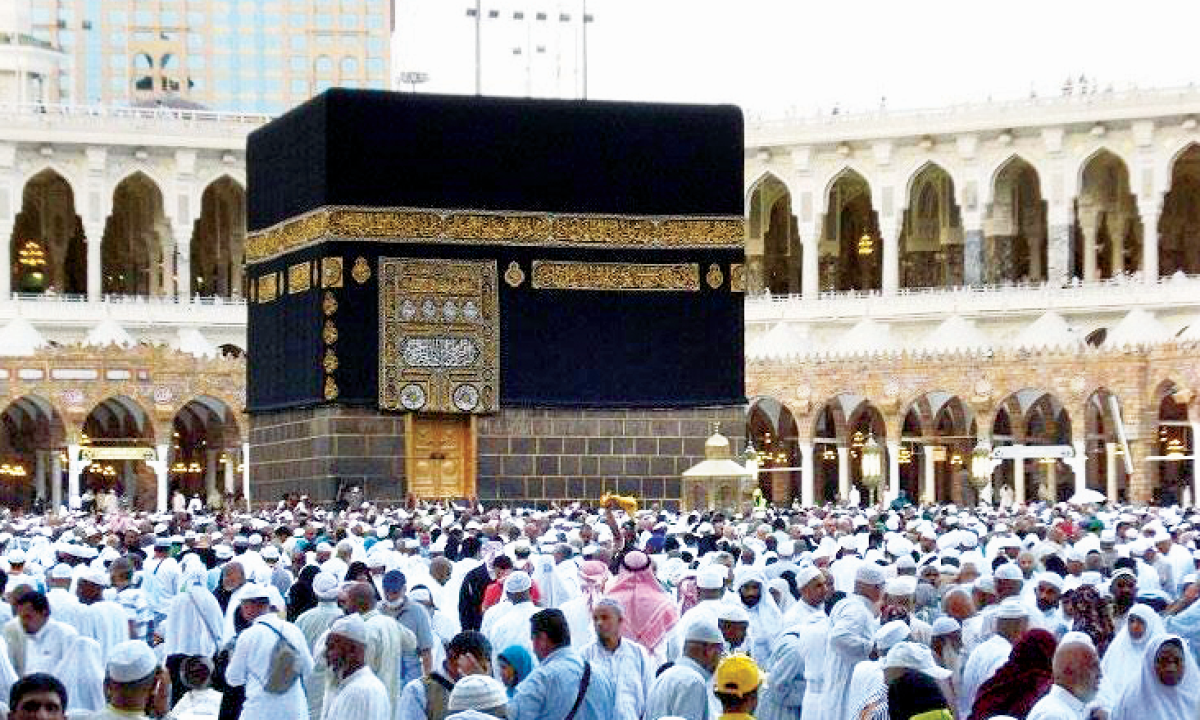 مقاولون لـ 